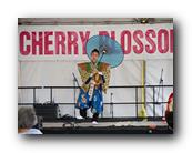 MPKCherryBlossom137120426.jpg