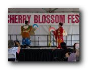 MPKCherryBlossom143120426.jpg