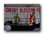 MPKCherryBlossom149120426.jpg