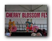 MPKCherryBlossom153120426.jpg