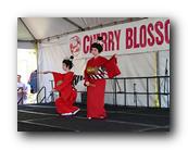 MPKCherryBlossom192120426.jpg