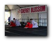 MPKCherryBlossom204120426.jpg
