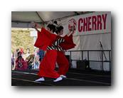 MPKCherryBlossom220120426.jpg