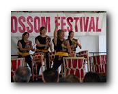 MPKCherryBlossom255120426.jpg