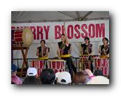MPKCherryBlossom278120426.jpg