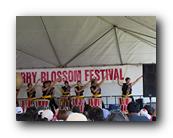 MPKCherryBlossom290120426.jpg