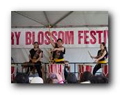 MPKCherryBlossom309120426.jpg