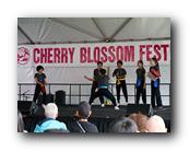 MPKCherryBlossom333120426.jpg