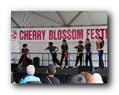 MPKCherryBlossom334120426.jpg