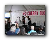 MPKCherryBlossom335120426.jpg