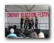 MPKCherryBlossom340120426.jpg