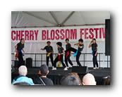 MPKCherryBlossom341120426.jpg
