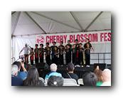 MPKCherryBlossom345120426.jpg