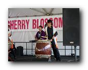 MPKCherryBlossom378120426.jpg
