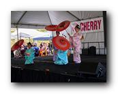 MPKCherryBlossom399120426.jpg