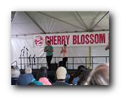 MPKCherryBlossom430120426.jpg