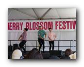 MPKCherryBlossom439120426.jpg