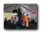 MPKCherryBlossom503120426.jpg