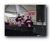 MPKCherryBlossom517120426.jpg
