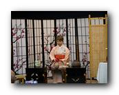 MPKCherryBlossom631120426.jpg