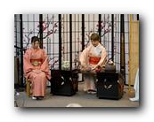 MPKCherryBlossom636120426.jpg