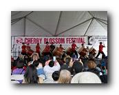 MPKCherryBlossom667120426.jpg