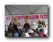 MPKCherryBlossom734120426.jpg