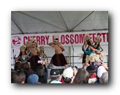 MPKCherryBlossom738120426.jpg