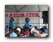 MPKCherryBlossom751120426.jpg