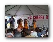 MPKCherryBlossom762120426.jpg