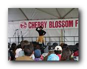 MPKCherryBlossom771120426.jpg