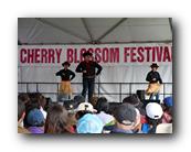 MPKCherryBlossom780120426.jpg