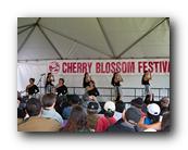 MPKCherryBlossom821120426.jpg