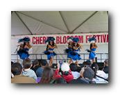 MPKCherryBlossom845120426.jpg
