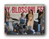 MPKCherryBlossom899120426.jpg