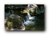 DSC01239.jpg