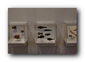 Mingei024030526.jpg