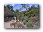 NativePlants003280326.jpg