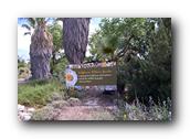 NativePlants004280326.jpg