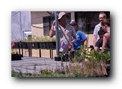NativePlants017280326.jpg