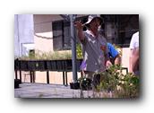 NativePlants018280326.jpg