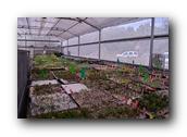 NativePlants023280326.jpg