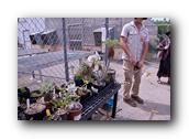 NativePlants033280326.jpg