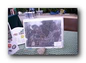 NativePlants036280326.jpg