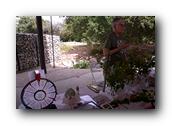 NativePlants049280326.jpg