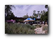 NativePlants054280326.jpg