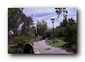 NativePlants056280326.jpg