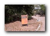 NativePlants058280326.jpg