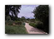 NativePlants060280326.jpg