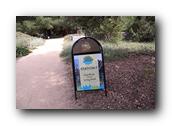 NativePlants072280326.jpg